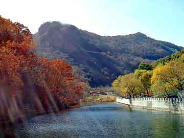 新澳天天开奖资料大全旅游团，苜蓿草种植